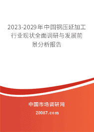 2023-2029年中國鋼壓延加工行業現狀全面調研與發展前景分析